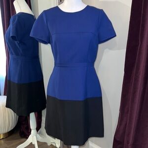 BCBGMAXAZRIA Short Sleeved Blue & Black Colorblock Dress Size 10
